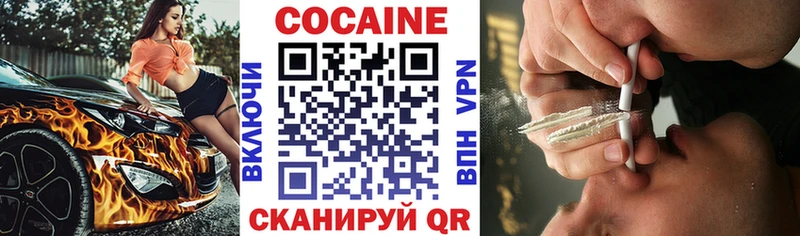 Купить где  Знаменск  КОКАИН FishScale 