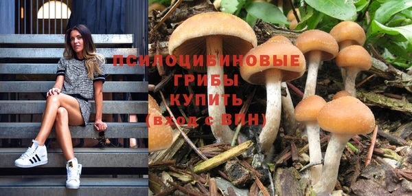 дурь Иннополис