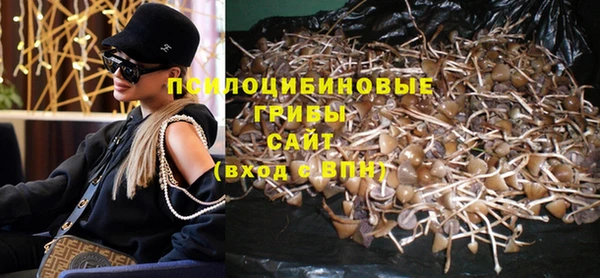 эйфоретик Инсар