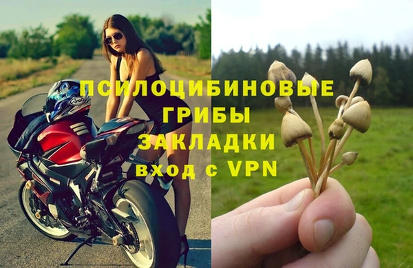 прущая мука Инта