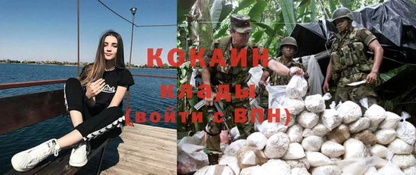 эйфоретик Инсар