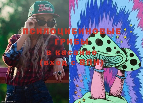 прущая мука Инта