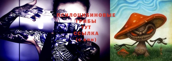 дурь Иннополис