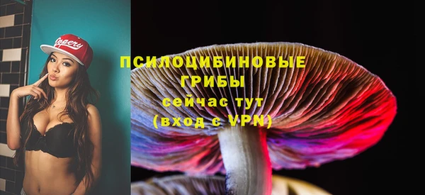 эйфоретик Инсар